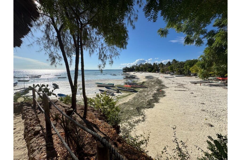 zanzibar pro single cestovatele