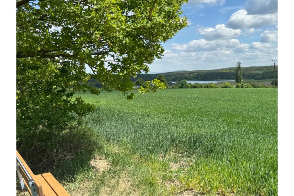 Výlet Keltský skanzen Jivjany - posezení s výhledem na Jivjanský rybník