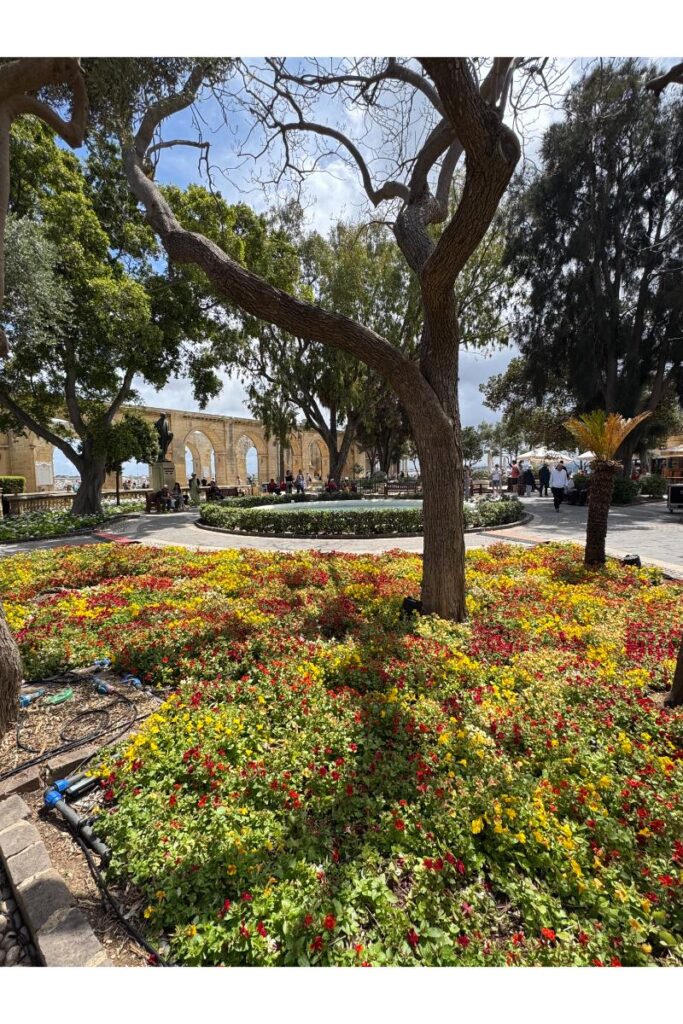 valleta na ostrově malta