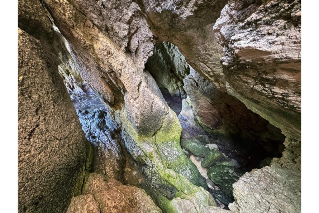 Caroline Cave Xlendi