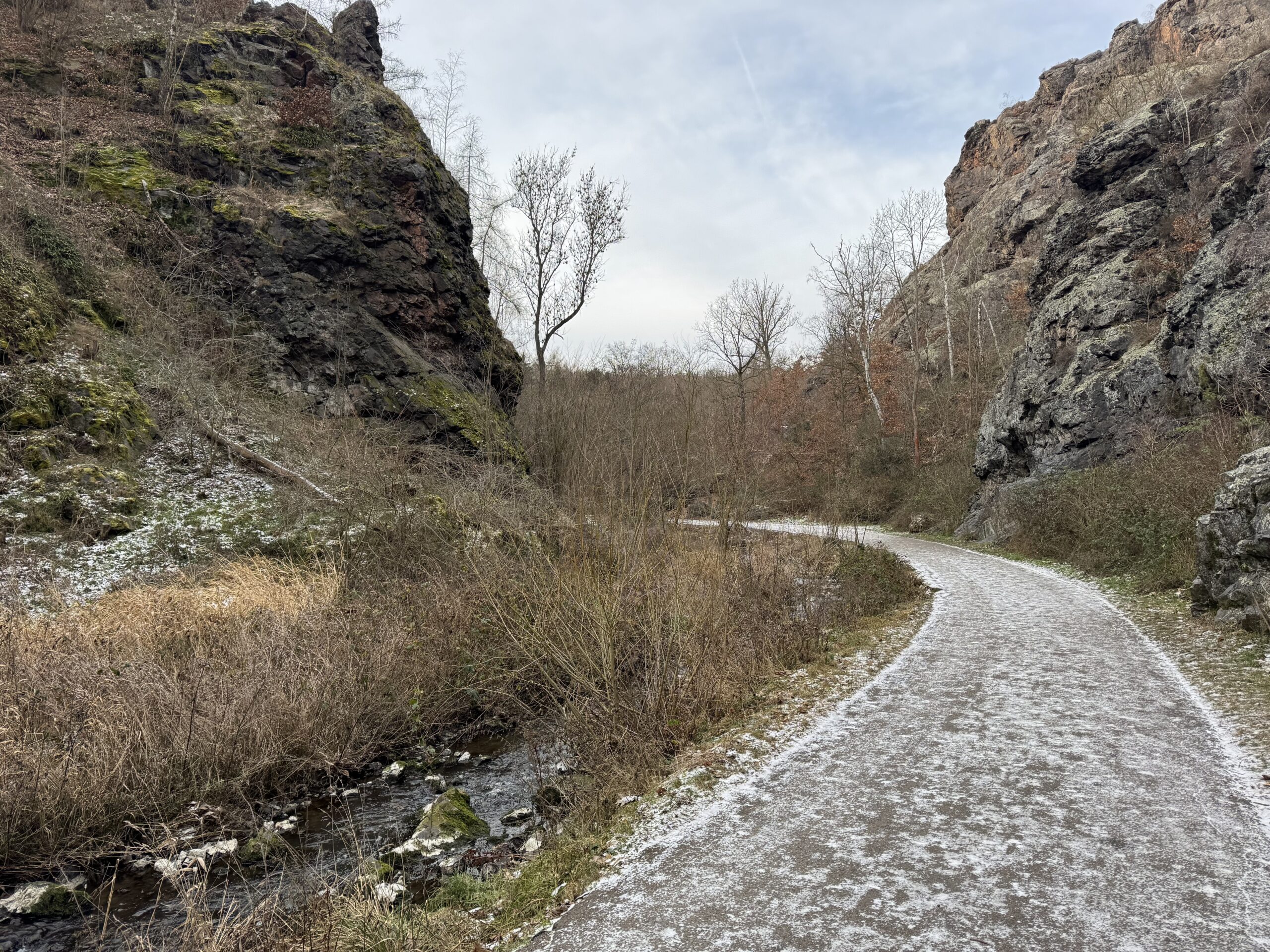 Divoká Šárka – pohodový jarní okruh